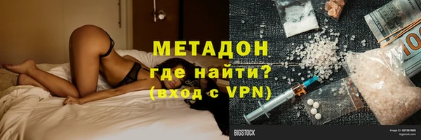 прущие грибы Абаза
