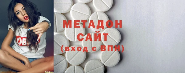 прущие грибы Абаза