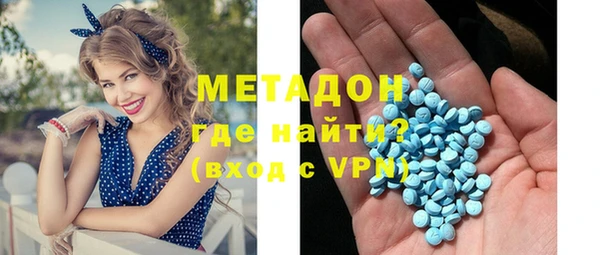прущие грибы Абаза